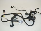 Front door wiring loom