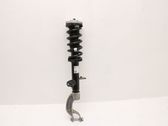Front shock absorber with coil spring