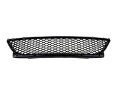 Front bumper lower grill