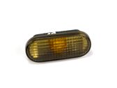Front fender indicator light