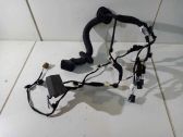 Other wiring loom
