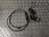 Curtain motor