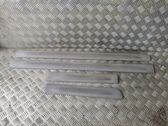 Listón embellecedor de la puerta delantera (moldura)