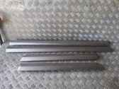 Front door trim (molding)