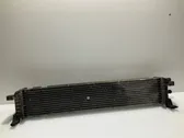 Radiatore intercooler