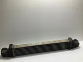 Intercooler radiator