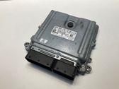 Calculateur moteur ECU