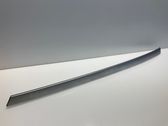Front door trim bar