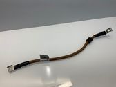 Other wiring loom