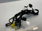 Front door wiring loom