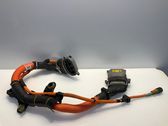 Other wiring loom