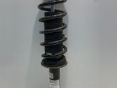 Rear shock absorber/damper