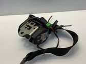 Ceinture de sécurité arrière