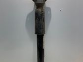 Stoßdämpfer hinten