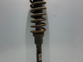 Front shock absorber with coil spring