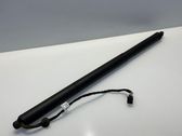 Tailgate strut