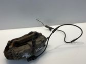 Caliper de freno delantero