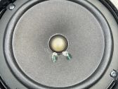 Rear door speaker