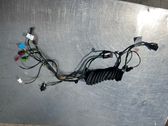 Cableado de puerta delantera