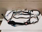 Other wiring loom