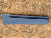 Rear door trim (molding)