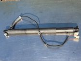 Tailgate/trunk strut/damper