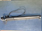 Tailgate strut