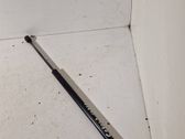 Tailgate/trunk strut/damper