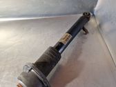 Rear shock absorber/damper