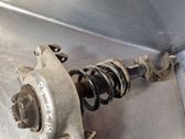 Front shock absorber with coil spring