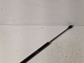 Tailgate/trunk strut/damper