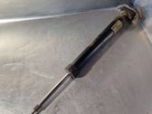 Rear shock absorber/damper