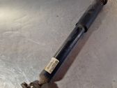 Rear shock absorber/damper