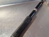 Rear shock absorber/damper