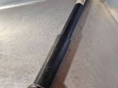 Rear shock absorber/damper