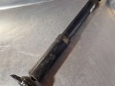 Rear shock absorber/damper