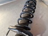 Front shock absorber with coil spring