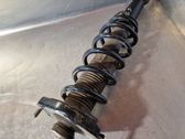 Rear shock absorber with coil spring