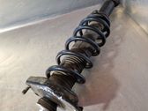 Rear shock absorber with coil spring