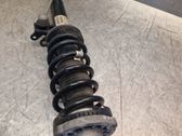 Front shock absorber with coil spring