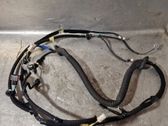 Rear door wiring loom
