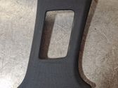 (B) pillar trim (bottom)