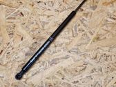 Tailgate/trunk strut/damper
