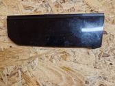 Rear door glass trim molding