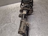 Front shock absorber with coil spring