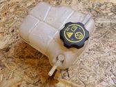 Coolant expansion tank/reservoir