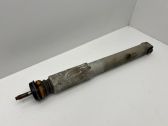 Rear shock absorber/damper