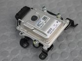 Engine control unit/module ECU