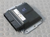Engine control unit/module ECU