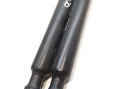 Tailgate/trunk strut/damper